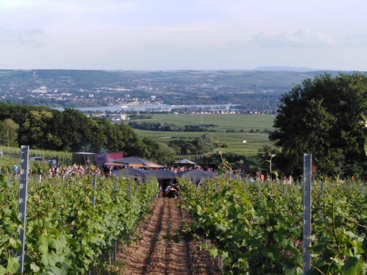 Rheingau Und Weltkulturerbe Mittelrheintal Erleben - Ferienappartement In Winkel Эстрих-Винкель Экстерьер фото